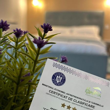Central Cosy Apartment Cluj-Napoca Eksteriør bilde