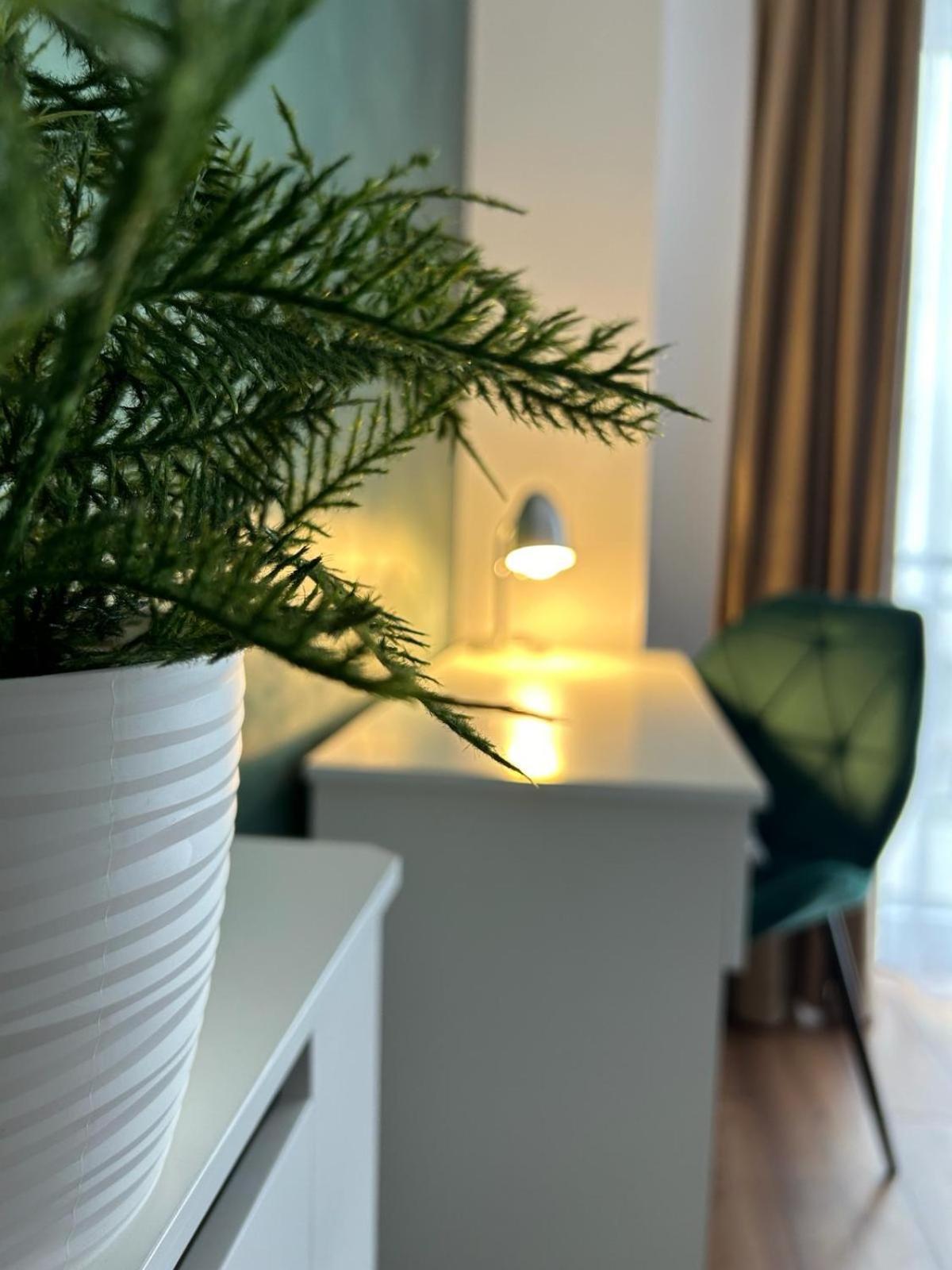 Central Cosy Apartment Cluj-Napoca Eksteriør bilde